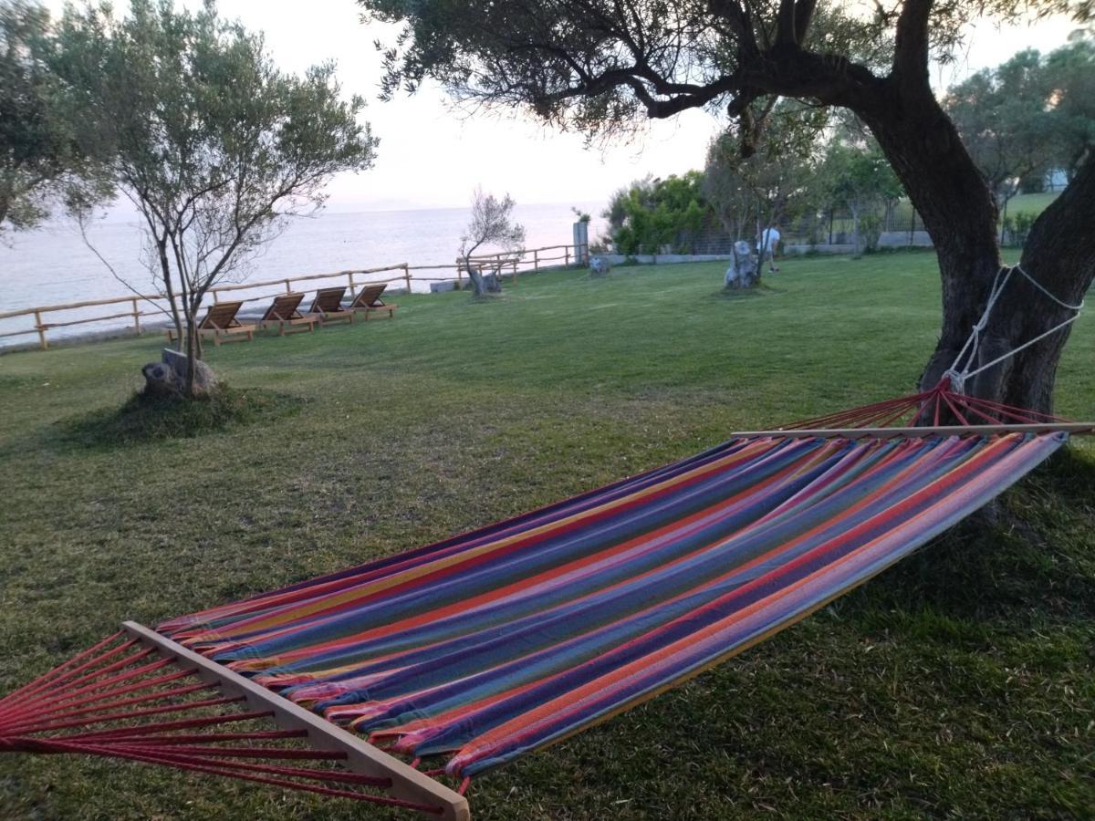 Vila Seaside House Nea Skioni Exteriér fotografie